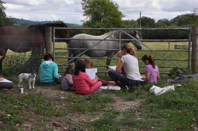 Mid Wales Arts B&B Caersws エクステリア 写真
