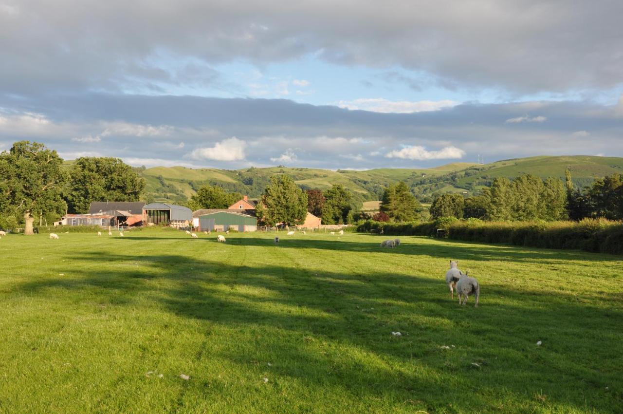 Mid Wales Arts B&B Caersws エクステリア 写真